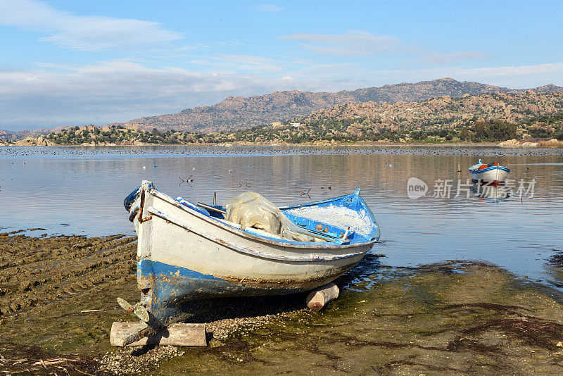 Bafa Lake - Aydin -火鸡